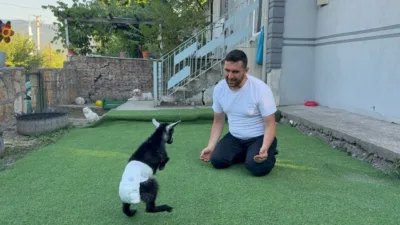 Karabük’te demir çelik fabrikasında çalışan adam ile eşi, petshopta karşılaştıkları