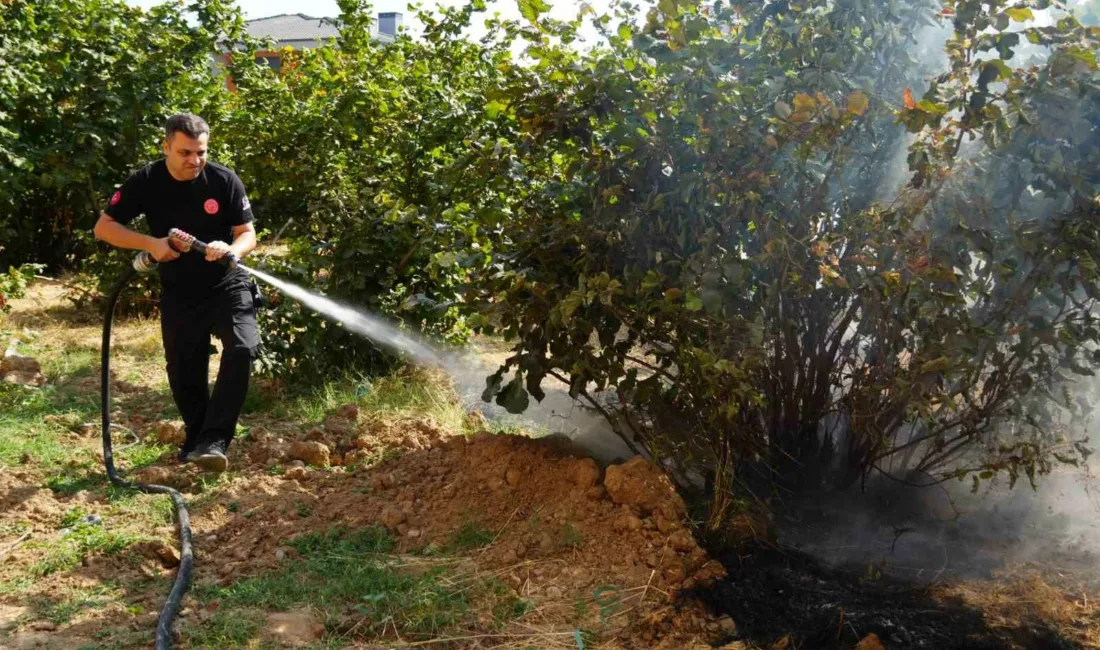 Düzce Belediyesi İtfaiye Müdürlüğü, son 3 ayda 300 anız yangınına