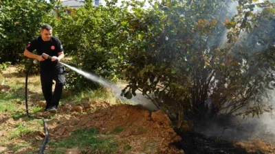 Düzce Belediyesi İtfaiye Müdürlüğü, son 3 ayda 300 anız yangınına