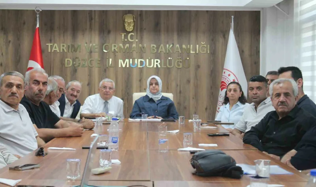 Düzce’de 2026 yılı fındık rekolte tahmin çalışmaları kapsamında gerçekleştirilen saha