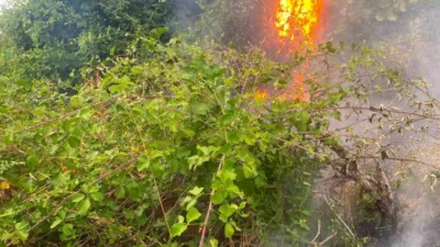 Düzce’nin Akçakoca ilçesinde fındıklıkta çıkan yangın, muhtarın hızlı müdahalesi sayesinde