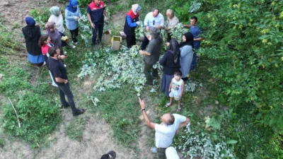 Düzce Merkez’e bağlı Güven Köyü’nde doğal floranın önemli ürünlerinden biri