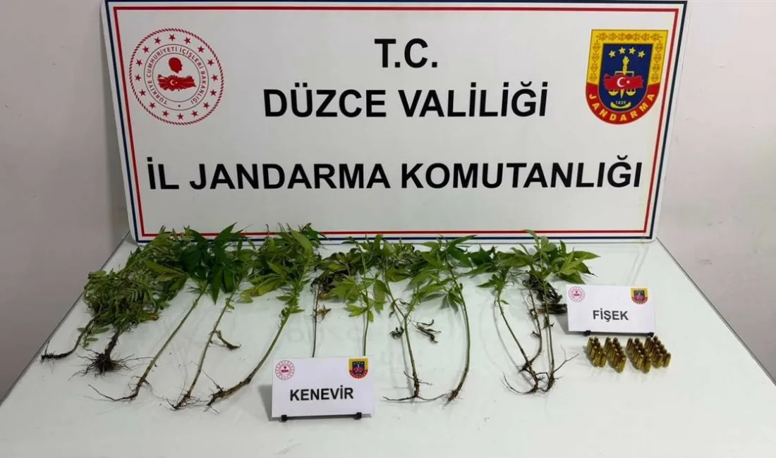 DÜZCE(İHA) – Düzce’nin Çilimli ve Akçakoca ilçelerinde Jandarma ekiplerince gerçekleştirilen