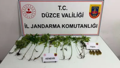 DÜZCE(İHA) – Düzce’nin Çilimli ve Akçakoca ilçelerinde Jandarma ekiplerince gerçekleştirilen