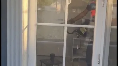 Düzce’nin Gümüşova ilçesine bağlı Çaybükü köyünde bir eve giren yılan,