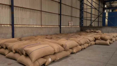 Zonguldak ve Karadeniz Bölgesi’nde hasat sezonu yaklaşırken üreticilerin gözü açıklanacak