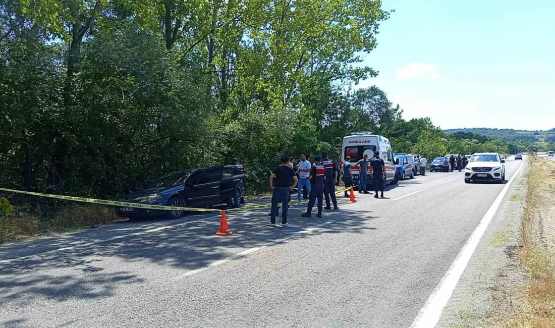 Zonguldak’ın Çaycuma ilçesinde 28 yaşındaki orman işçisi, yol kenarındaki aracında