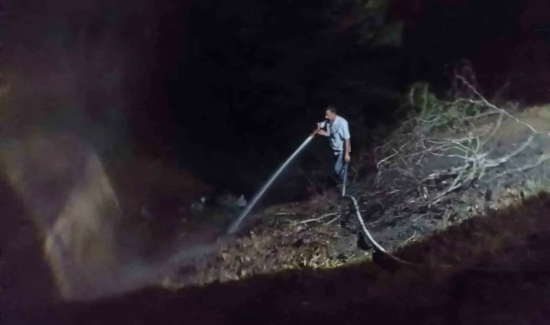 Zonguldak’ın Alaplı ilçesine bağlı Gümeli Beldesi Bölüklü Yaylası yolu üzerinde