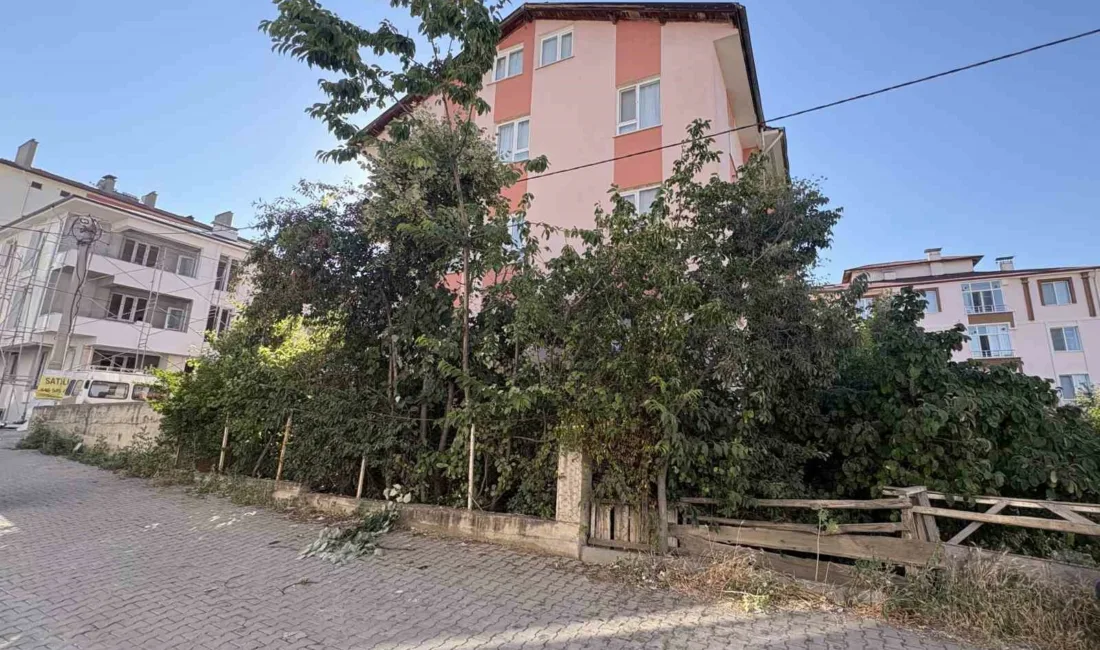 Kastamonu’nun Tosya ilçesinde ıhlamur toplamak için çıktığı ağaçtan düşen emekli