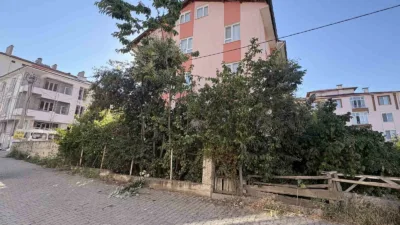 Kastamonu’nun Tosya ilçesinde ıhlamur toplamak için çıktığı ağaçtan düşen emekli