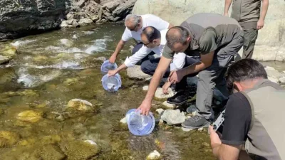 Kastamonu’nun Bozkurt ilçesinde, 2021 ve 2022 yıllarında meydana gelen sel