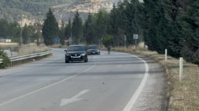 Karabük’te kara yoluna çıkan eşek, trafikte kısa süreli tehlikeye neden