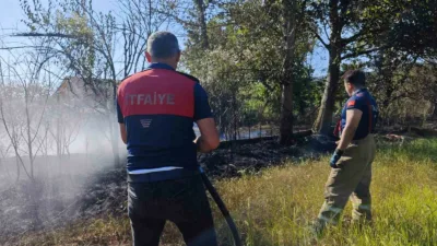 Karabük’ün Safranbolu ilçesine bağlı Sarıahmetli köyünde çıkan baraka ve ot