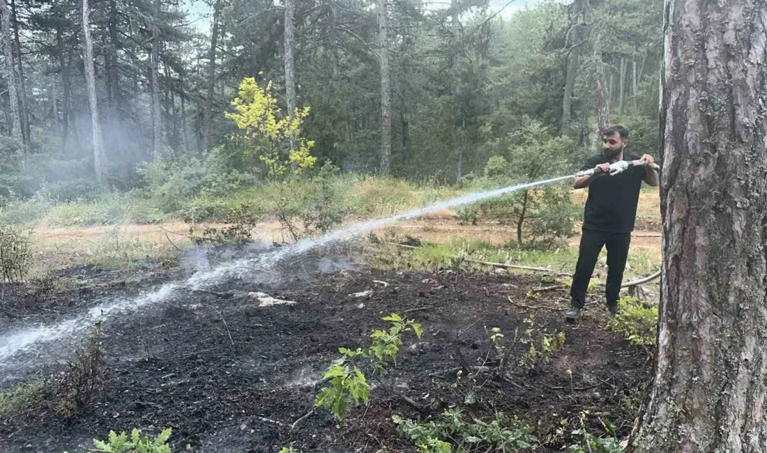 Karabük’ün Eflani ilçesinde çıkan örtü yangını, Orman İşletme Müdürlüğü ekiplerinin