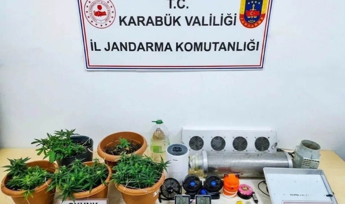 Karabük’te jandarma ekiplerince düzenlenen uyuşturucu operasyonlarında skunk bitkisi, sentetik kannabinoid