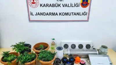 Karabük’te jandarma ekiplerince düzenlenen uyuşturucu operasyonlarında skunk bitkisi, sentetik kannabinoid