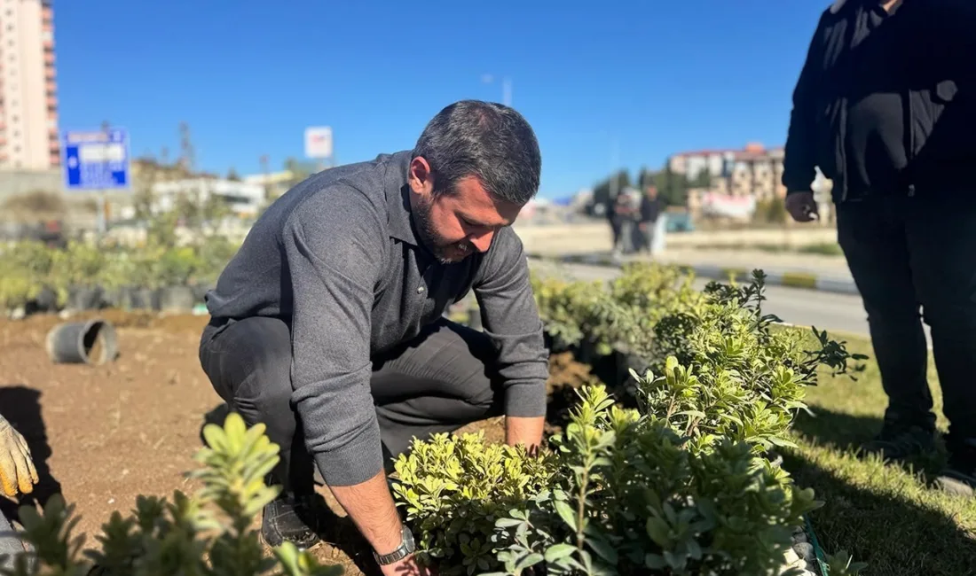 Karabük Belediyesi tarafından yürütülen peyzaj ve ağaçlandırma çalışmaları çerçevesinde kent
