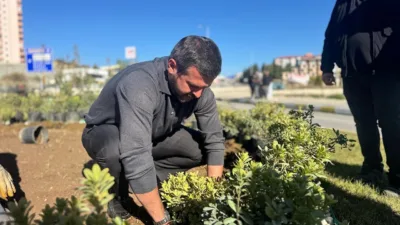 Karabük Belediyesi tarafından yürütülen peyzaj ve ağaçlandırma çalışmaları çerçevesinde kent
