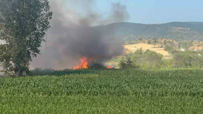 Kastamonu’nun Taşköprü ilçesinde buğday ekili tarlada çıkan yangında, çiftçinin bir