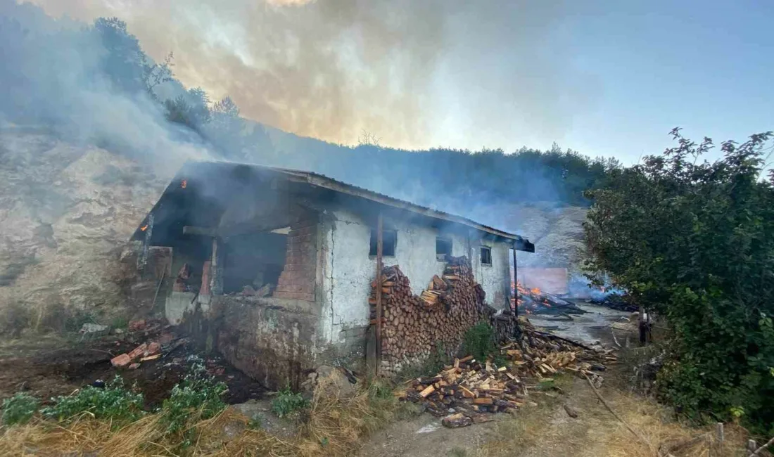 Kastamonu’da ahşap evde çıkan yangın ormanlık alana sıçradı. Alevlere havadan