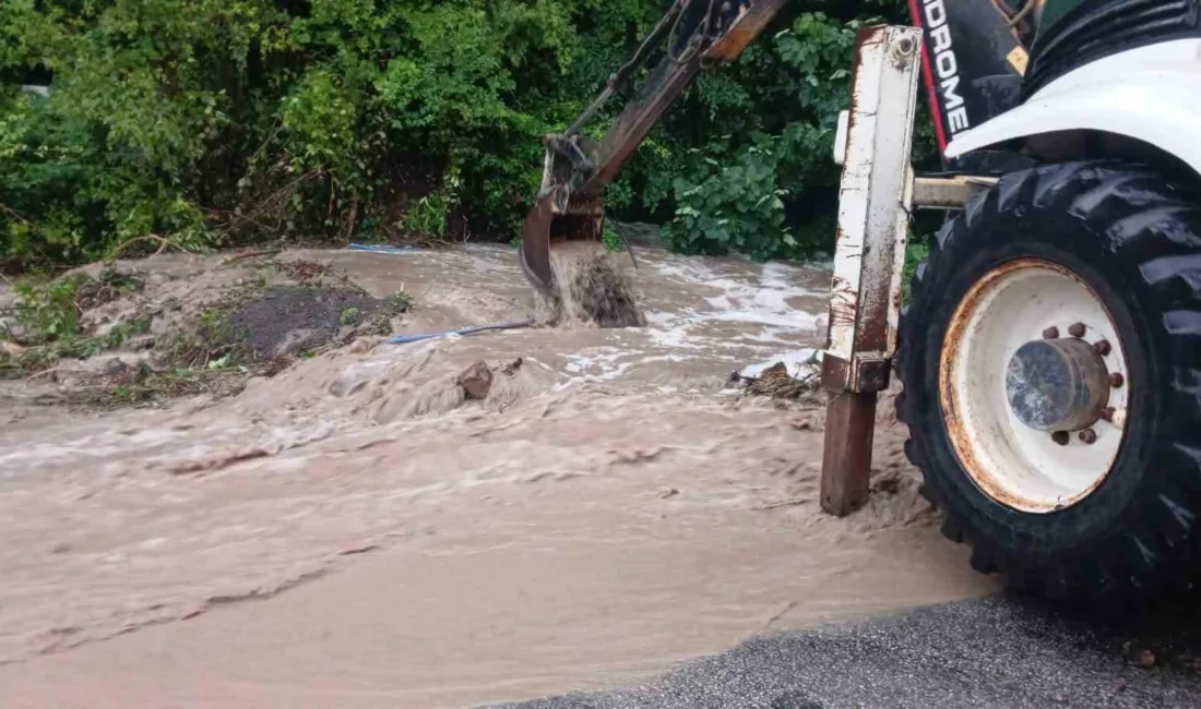 Kastamonu’nun Doğanyurt ilçesinde kuvvetli yağmurun ardından meydana gelen heyelanlar sebebiyle