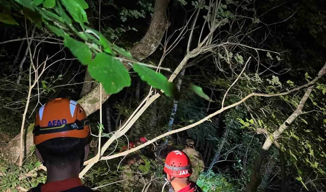 Kastamonu’nun Çatalzeytin ilçesinde dengesini kaybederek uçuruma yuvarlanan şahıs, ekiplerin çalışmasıyla