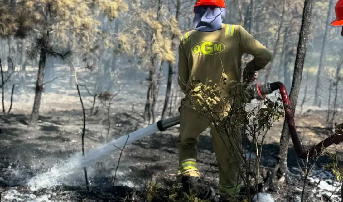 Kastamonu’da ormanlık alanda çıkan yangın, havadan ve karadan yapılan müdahaleyle