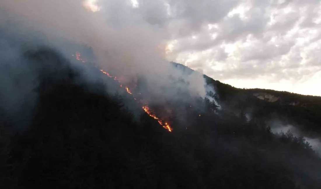 Kastamonu’da ahşap evde çıkan ve ormanlık alana sıçrayan yangına ekiplerin