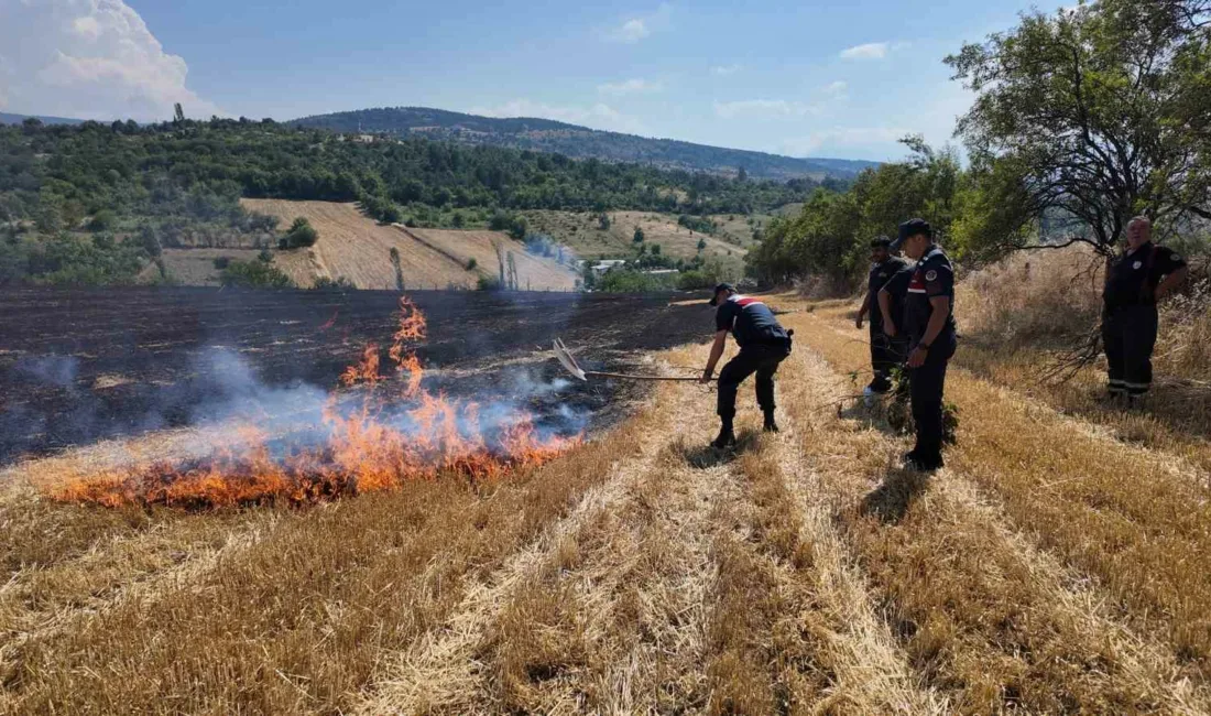Karabük’te boş arazide çıkan ve geniş bir alana yayılan anız