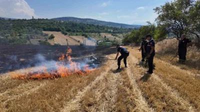 Karabük’te boş arazide çıkan ve geniş bir alana yayılan anız