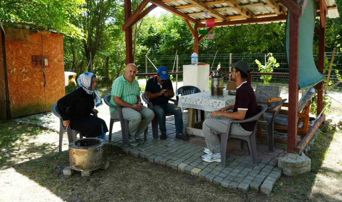 Kastamonu’da gece saatlerinde kamelyada oturan vatandaşlar, bahçeye giren ayıyı görünce