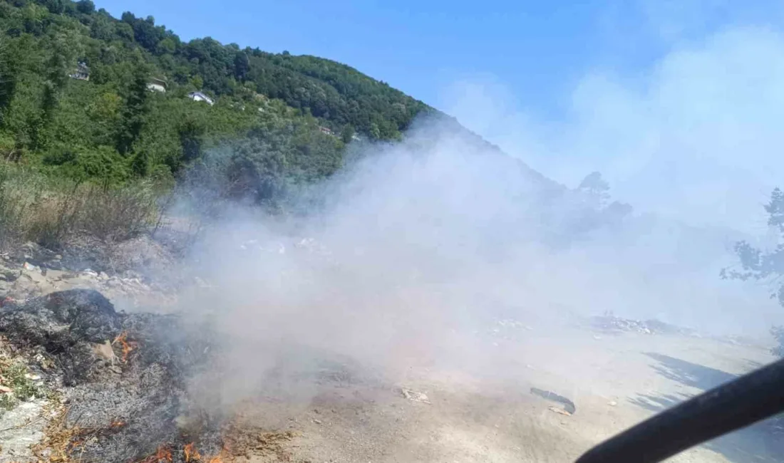 Zonguldak’ın Alaplı ilçesinde, Mollabey yolu üzerinde vatandaşlar tarafından atıkların bırakıldığı
