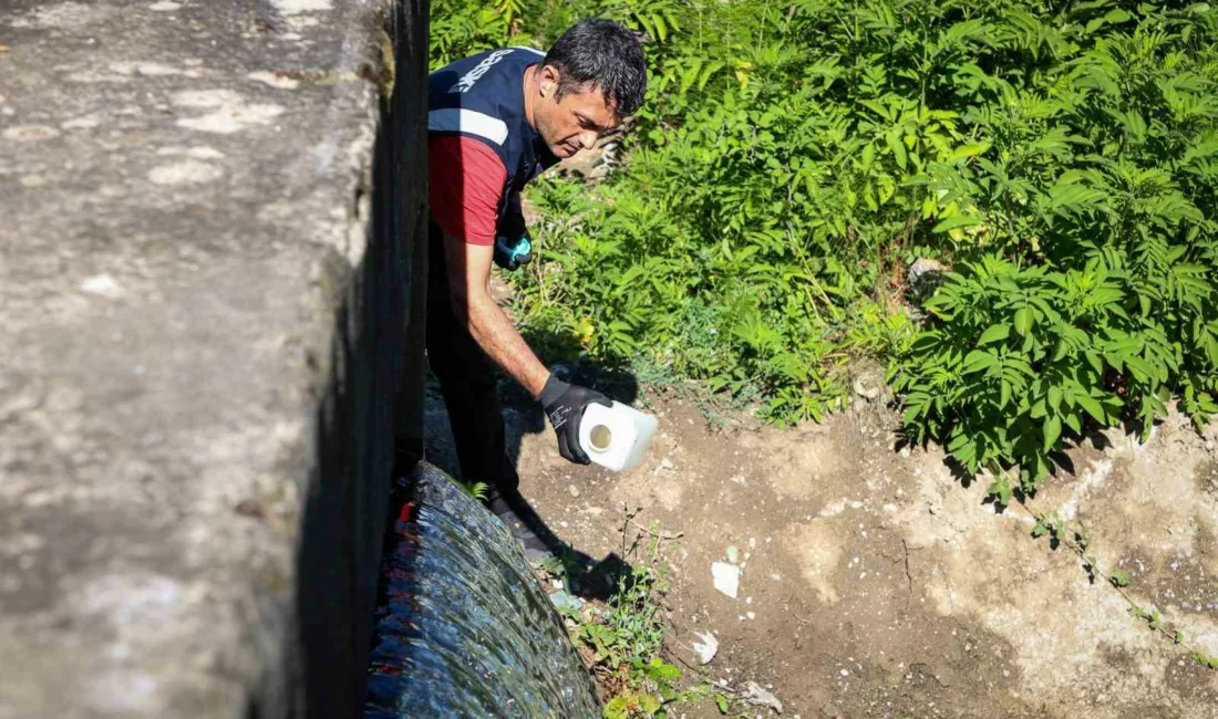 Sakarya’da Sapanca Gölü’ne alternatif kaynak olarak kullanılan Mollaköy Göleti’nden sağlanan