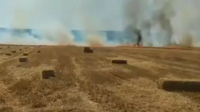Ankara’nın Nallıhan ilçesinde bir tarlada çıkan yangın, ekiplerin yoğun çalışmalarının