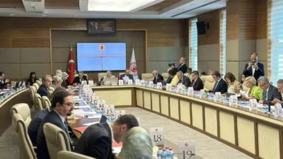 Öğrenci affına ve yükseköğretime ilişkin düzenlemeleri içeren Yükseköğretim Kanunu ve