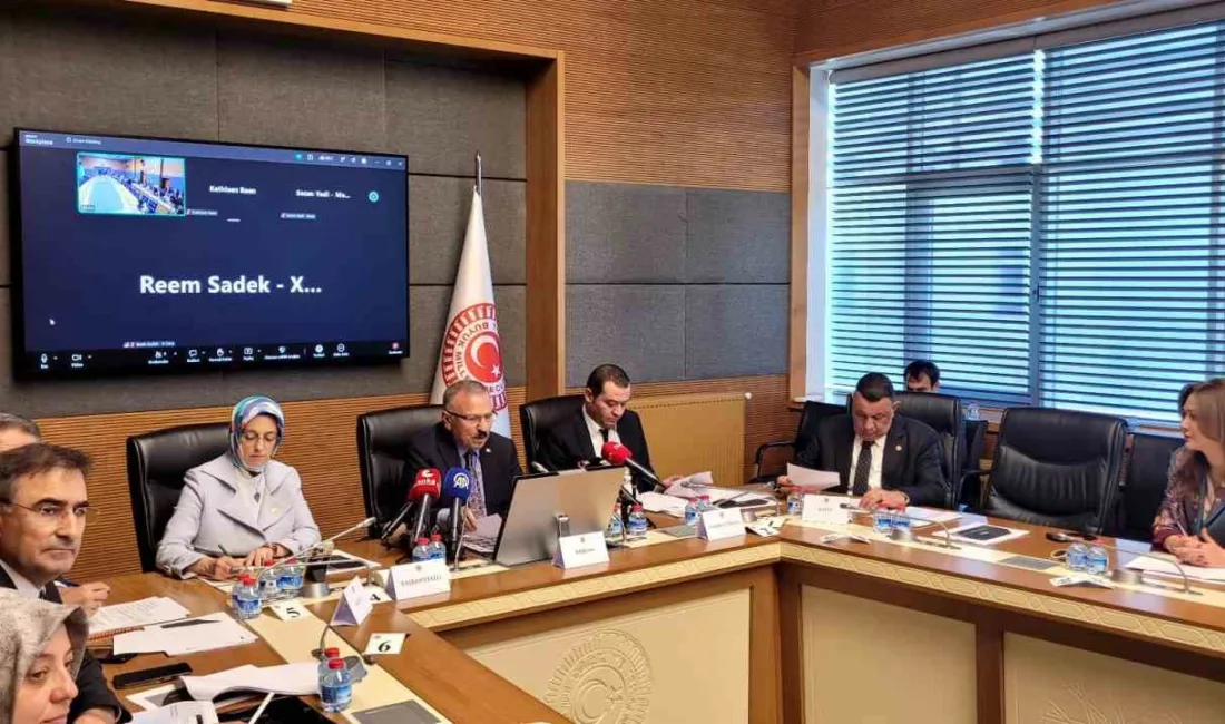 Şanlıurfa ve Kahramanmaraş Okul Olaylarını ve Dijital Riskleri Araştırma Komisyonu