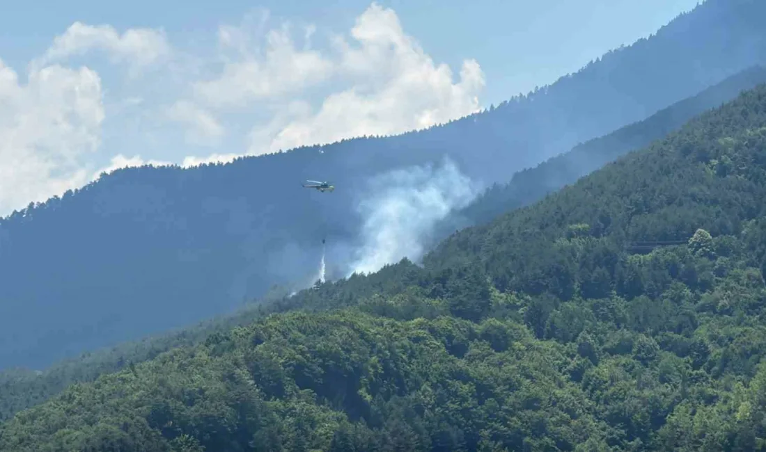 Karabük merkeze bağlı Sipahiler köyü yakınlarındaki ormanlık alanda çıkan yangına