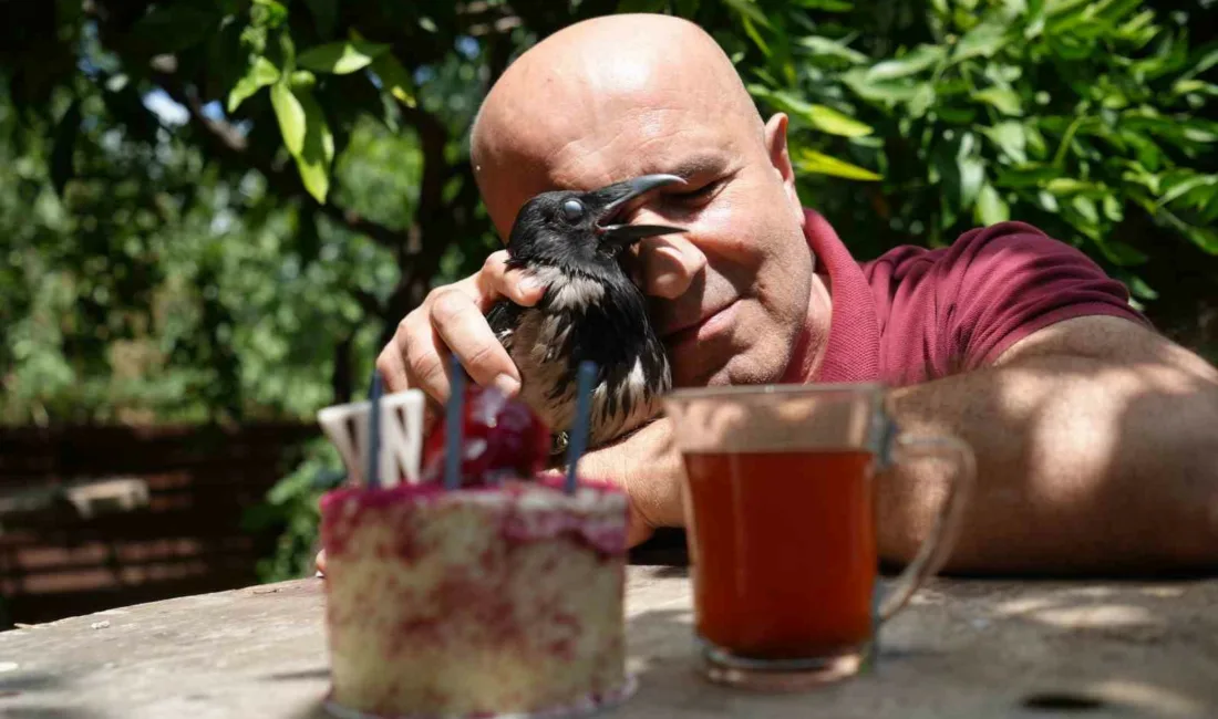 Kocaeli’de 3 yıl önce yaralı halde bulup sahiplendiği kargayı yanından