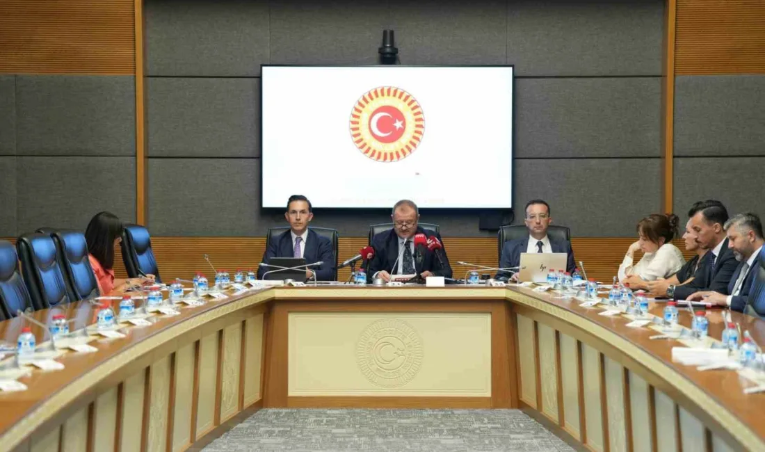 Radyo ve Televizyon Üst Kurulu (RTÜK) Başkanı Mehmet Daniş, TBMM