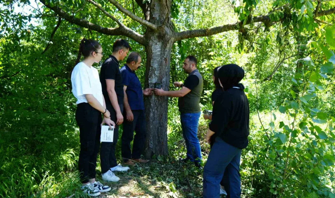 Kastamonu’da il merkezine yaklaşık 5 kilometre uzaklıkta bulunan köye kadar