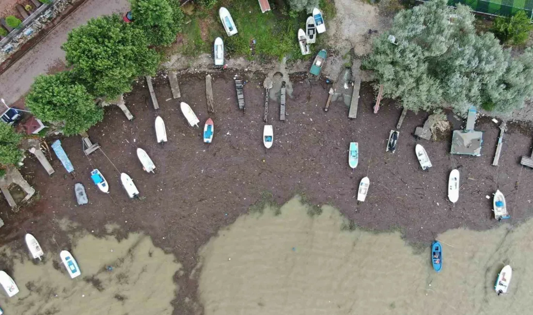 Kastamonu’nun Cide ilçesinde sel sularının sürüklediği odun parçaları balıkçı barınağını