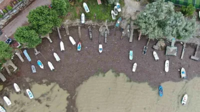 Kastamonu’nun Cide ilçesinde sel sularının sürüklediği odun parçaları balıkçı barınağını