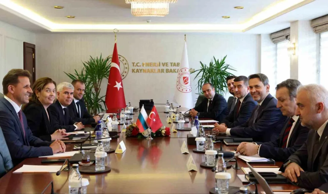Türkiye ile Bulgaristan arasında doğal gaz alanındaki iş birliğinin geliştirilmesine