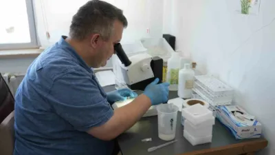 Son günlerde gündeme gelen dev çekirgelerle ilgili konuşan Kastamonu Üniversitesi