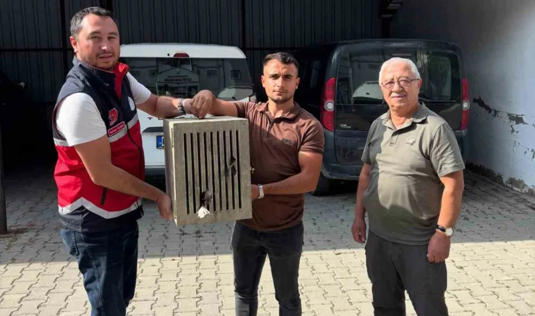 Kastamonu’nun Devrekani ilçesinde yaralı halde bulunan leylek, Devrekani İlçe Tarım