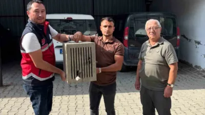 Kastamonu’nun Devrekani ilçesinde yaralı halde bulunan leylek, Devrekani İlçe Tarım