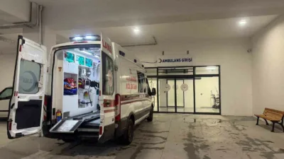 Zonguldak’ın Alaplı ilçesinde bahçesine inen Kamil Kaçar, yılanın saldırısına uğrayarak